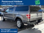 2010 Ford F-150 Platinum