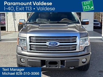 2010 Ford F-150 Platinum