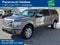 2010 Ford F-150 Platinum